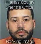 Manuel Olvera-Dominguez, - Pinellas County, FL 