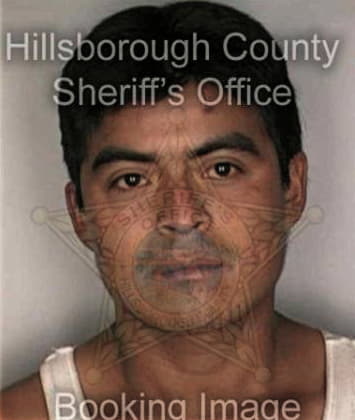 Edgar Sannamyan, - Hillsborough County, FL 