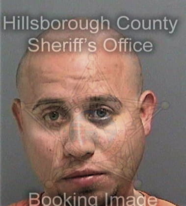 Alfonso Varonacardenes, - Hillsborough County, FL 