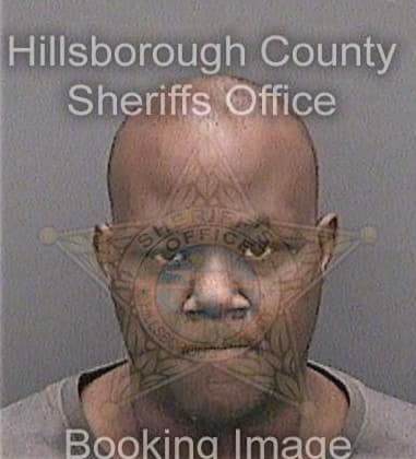 Oluwadamilola Aluko, - Hillsborough County, FL 