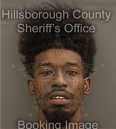 Darius Brown, - Hillsborough County, FL 