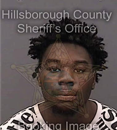 Moses Carter, - Hillsborough County, FL 