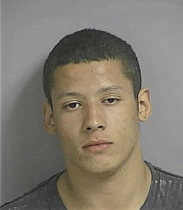 Ismael Hernandez-Garay, - Osceola County, FL 