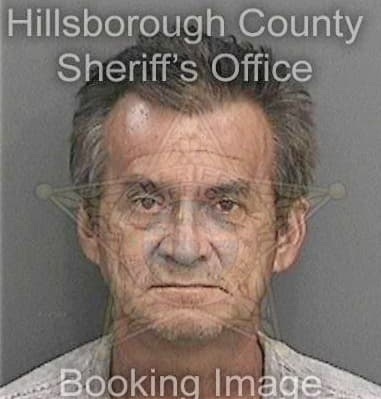 Armando Ortizmercado, - Hillsborough County, FL 