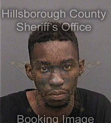 Dimitri White - Hillsborough County, FL 