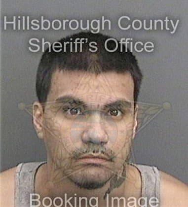 Donnavin Canales, - Hillsborough County, FL 