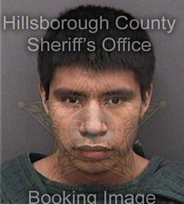 Antonio Castanedasantizo, - Hillsborough County, FL 