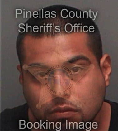 Norberto Cruzvilleda, - Pinellas County, FL 