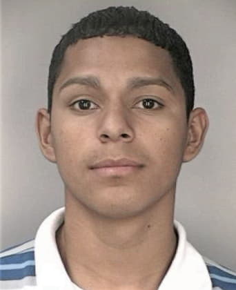 Juan Garciagallegos, - Hillsborough County, FL 