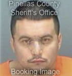 Reiniel Munizsuarez, - Pinellas County, FL 