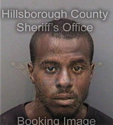 Terrico Newsome, - Hillsborough County, FL 