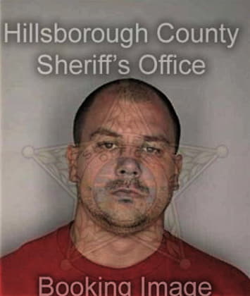 Claudiu Dumitrache, - Hillsborough County, FL 