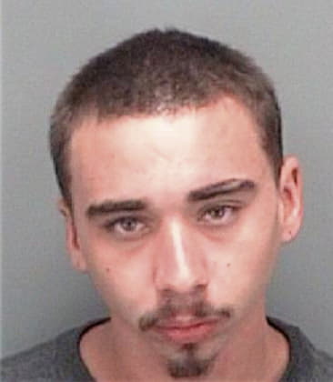 Cesar Herreralandaeta, - Pinellas County, FL 