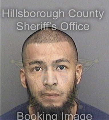 Alfonso Larrea, - Hillsborough County, FL 