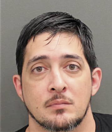 Raymundo Lluberes - Orange County, FL 