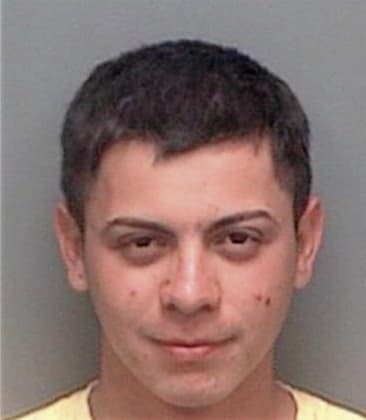 Arnulfo Lopezhernandez, - Pinellas County, FL 