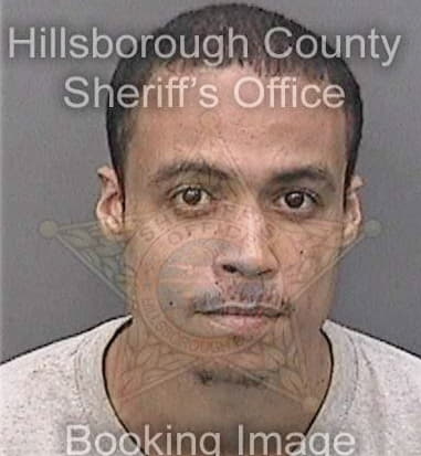 Matthew Silla, - Hillsborough County, FL 