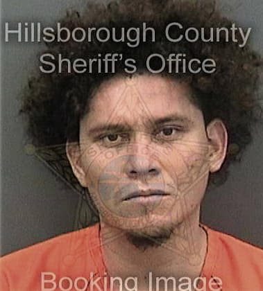 Michael Venetek, - Hillsborough County, FL 