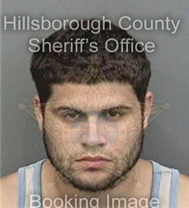 Dennis Banks, - Hillsborough County, FL 