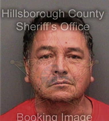 Roger Calogne, - Hillsborough County, FL 