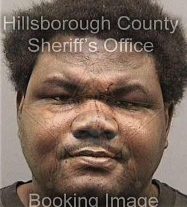 Blair Minnifield - Hillsborough County, FL 