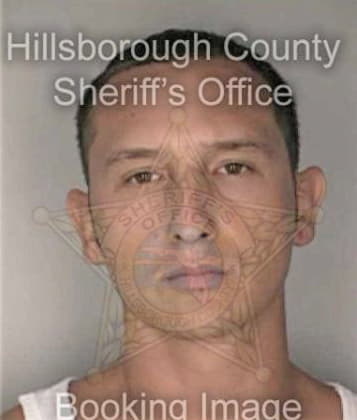 Francisco Rivera, - Hillsborough County, FL 