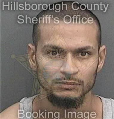 Brian Virgin, - Hillsborough County, FL 