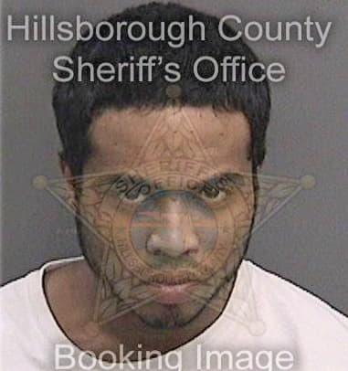 Joseph Cavanaghreyes, - Hillsborough County, FL 