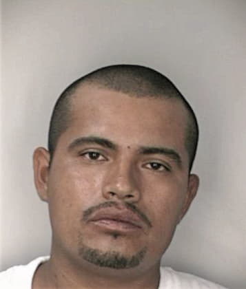 Aurelio Hernandezperez - Hillsborough County, FL 
