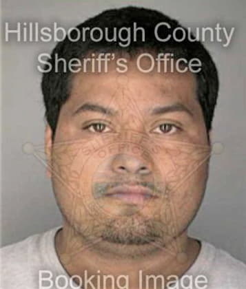 Antonio Leonmorera, - Hillsborough County, FL 