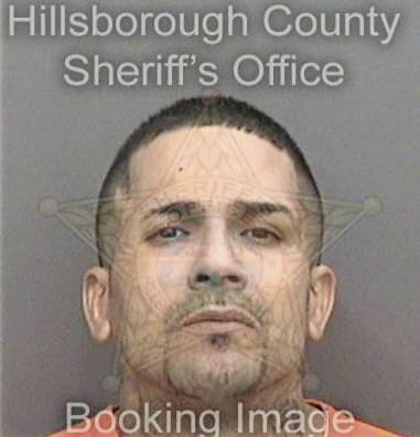 Raynaldo Mercadorosario - Hillsborough County, FL 