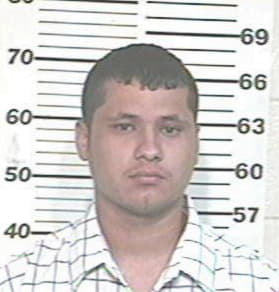 Alvarado Pedro, - Hidalgo County, TX 