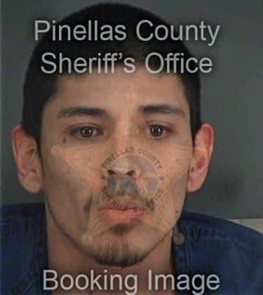 Kenneth Ruvolo, - Pinellas County, FL 