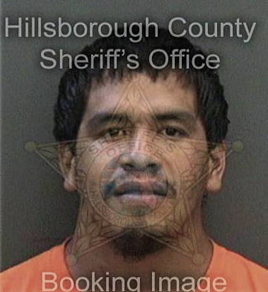 Brian Williams - Hillsborough County, FL 