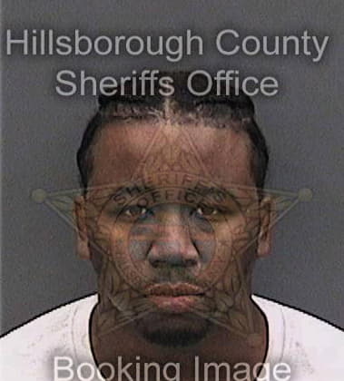 Kenneth Wilson, - Hillsborough County, FL 