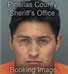 Yazmany Arciniegasalazar, - Pinellas County, FL 