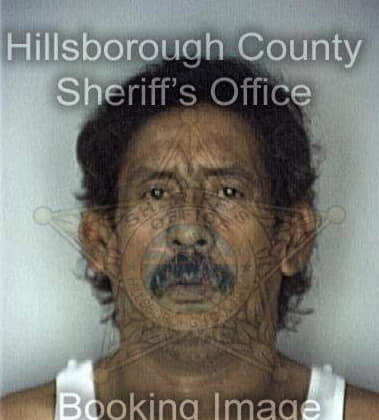 Eliu Deleon, - Hillsborough County, FL 