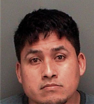 Roberto Mendozaramirez, - Pinellas County, FL 