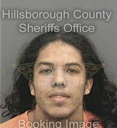 Alexander Ortiz, - Hillsborough County, FL 