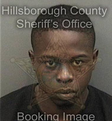Dennis Robinson - Hillsborough County, FL 