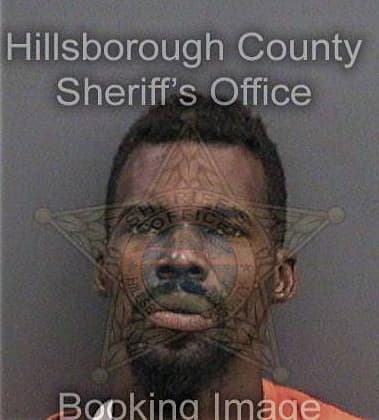 Gabriel Brown, - Hillsborough County, FL 