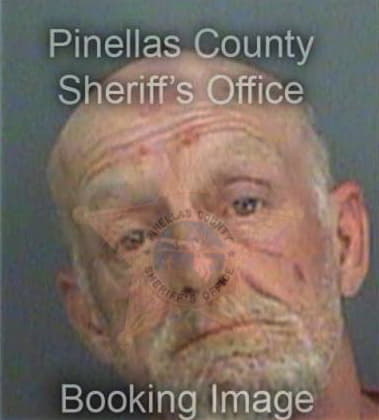 Daniel Decicco, - Pinellas County, FL 