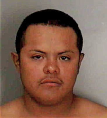 Luis Elheverria, - Polk County, FL 