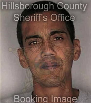 Nestor Llera, - Hillsborough County, FL 