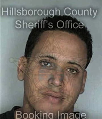 Joshua Masino, - Hillsborough County, FL 