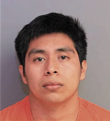 Michel Mejia - Polk County, FL 