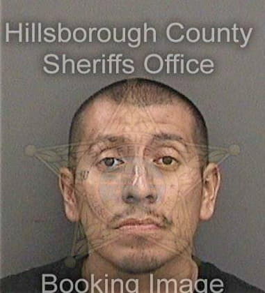 Brian Oconnor, - Hillsborough County, FL 