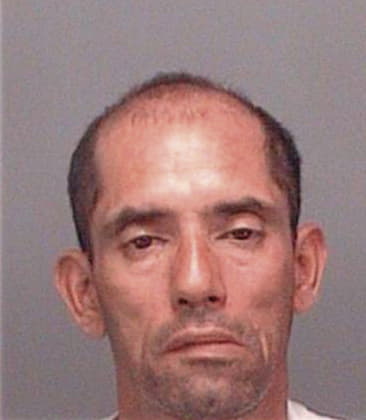 Michael Smith - Pinellas County, FL 