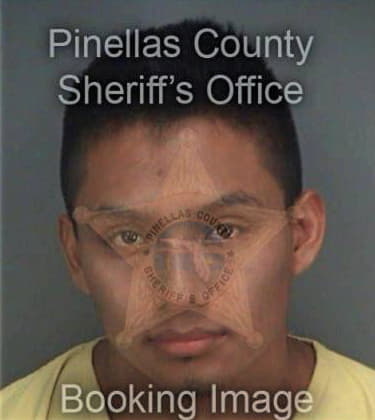 Alejandro Bahenaroa, - Pinellas County, FL 