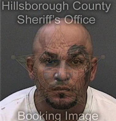 Orlando Borras - Hillsborough County, FL 